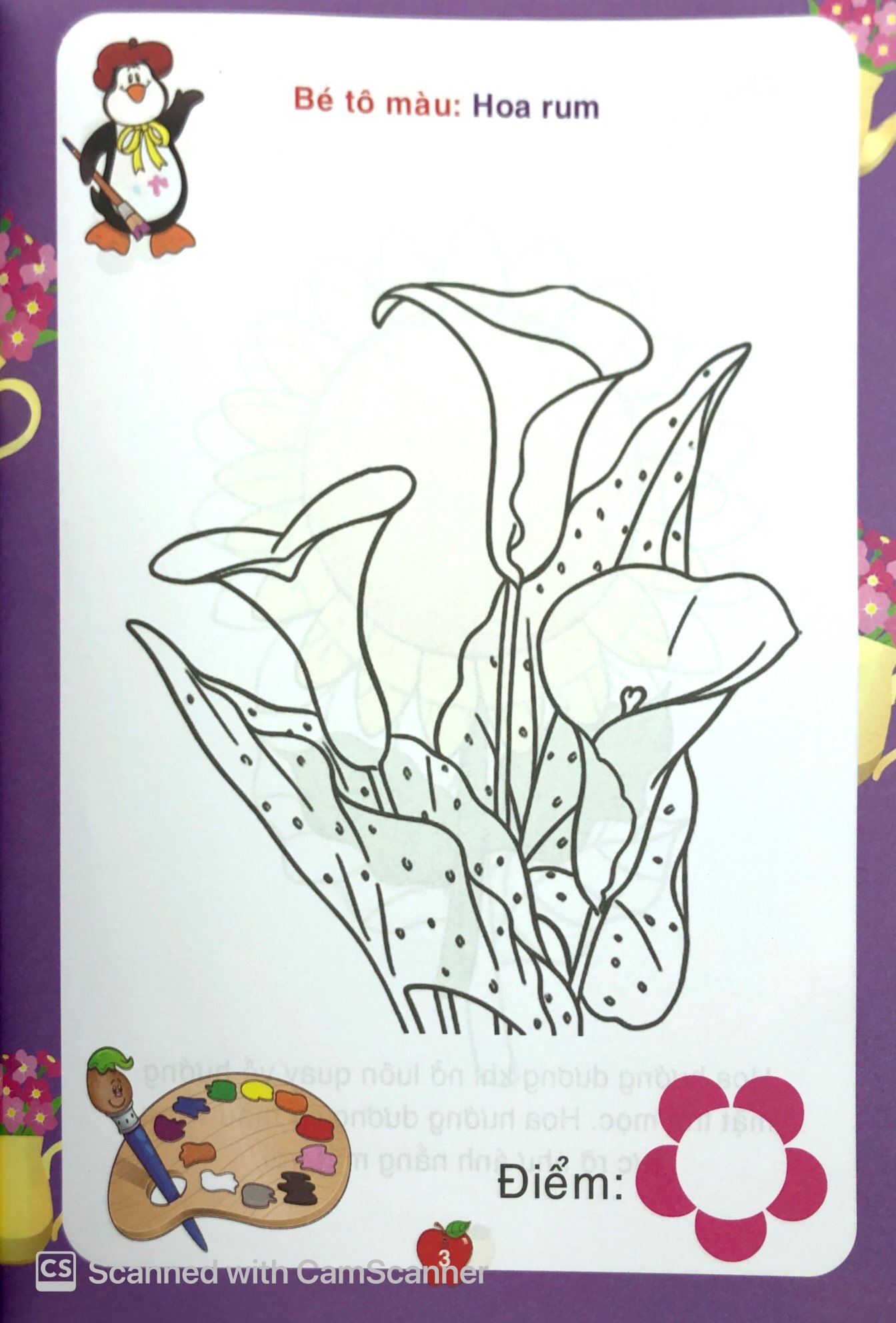 bé tô màu & làm quen với môi trường - các loài hoa