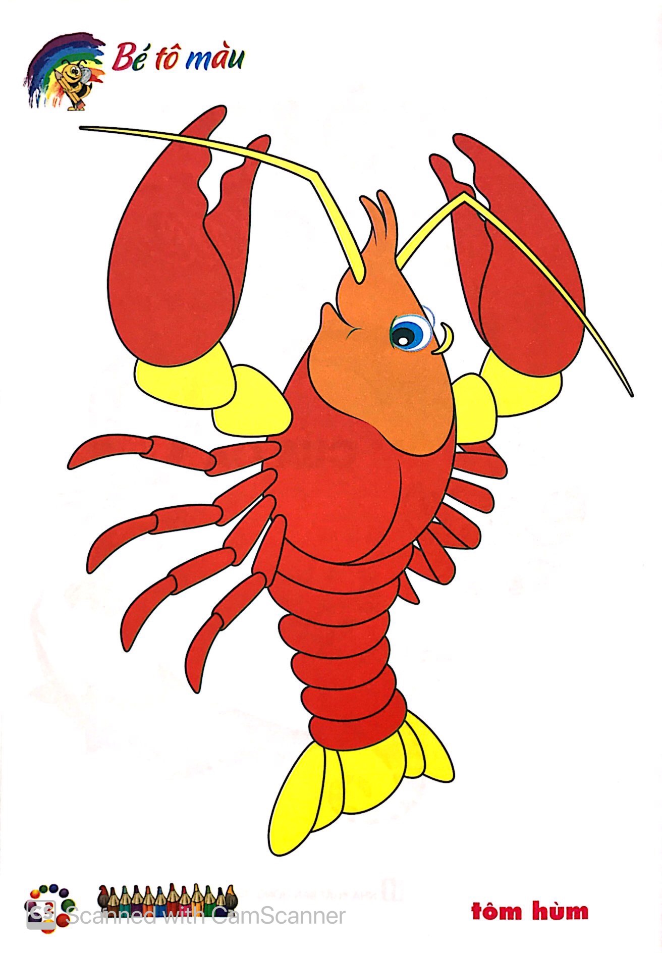 bé tô màu mẫu giáo - tôm cua cá (tái bản 2024)