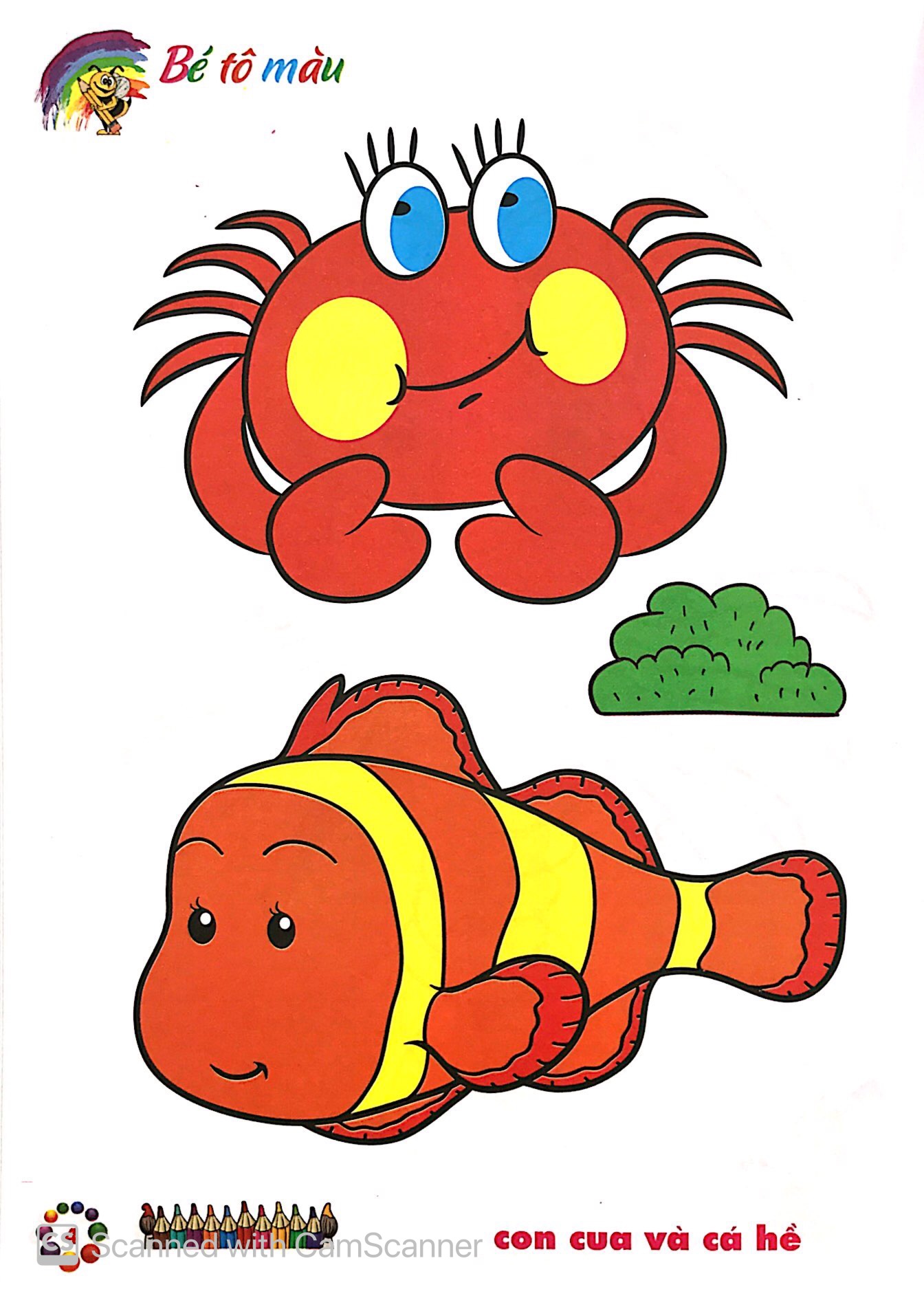 bé tô màu mẫu giáo - tôm cua cá (tái bản 2024)
