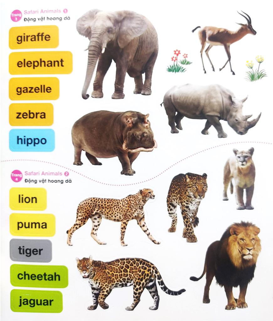 bé vui học tiếng anh cùng sticker - at the zoo - trong vườn thú