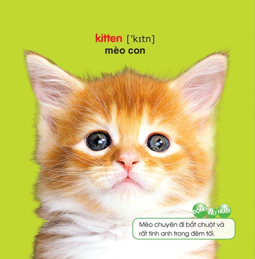 bé yêu đi mẫu giáo - thế giới động vật