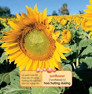 bé yêu đi mẫu giáo - tranh đố vui