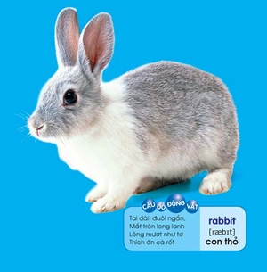 bé yêu đi mẫu giáo - tranh đố vui