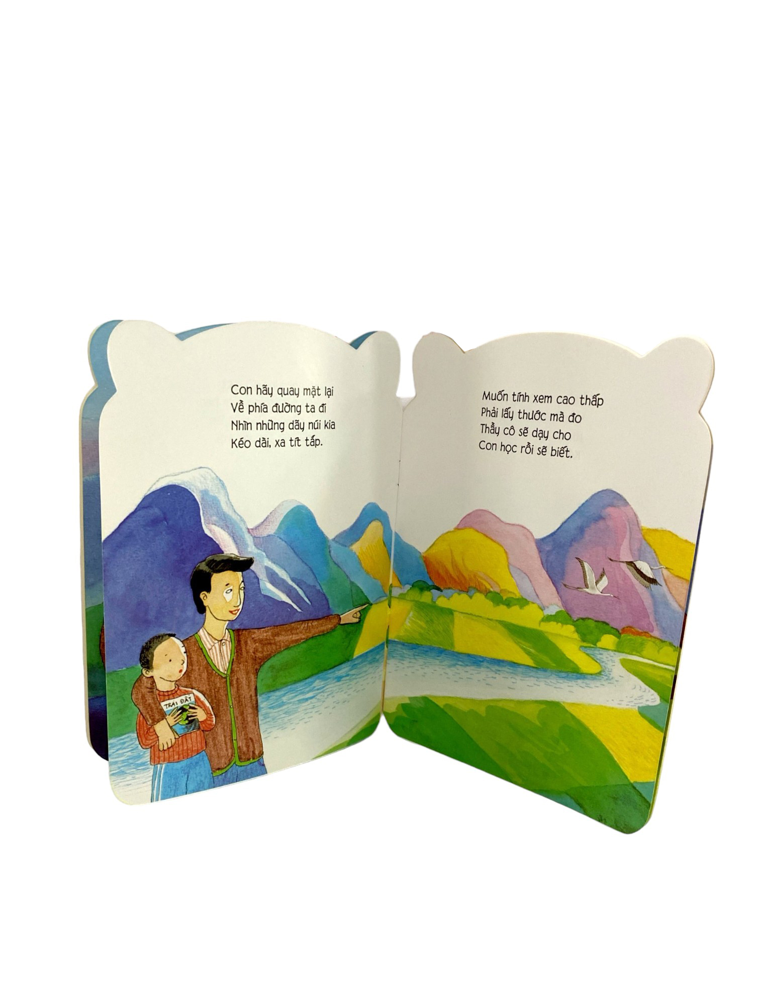 bé yêu khám phá - cao và thấp