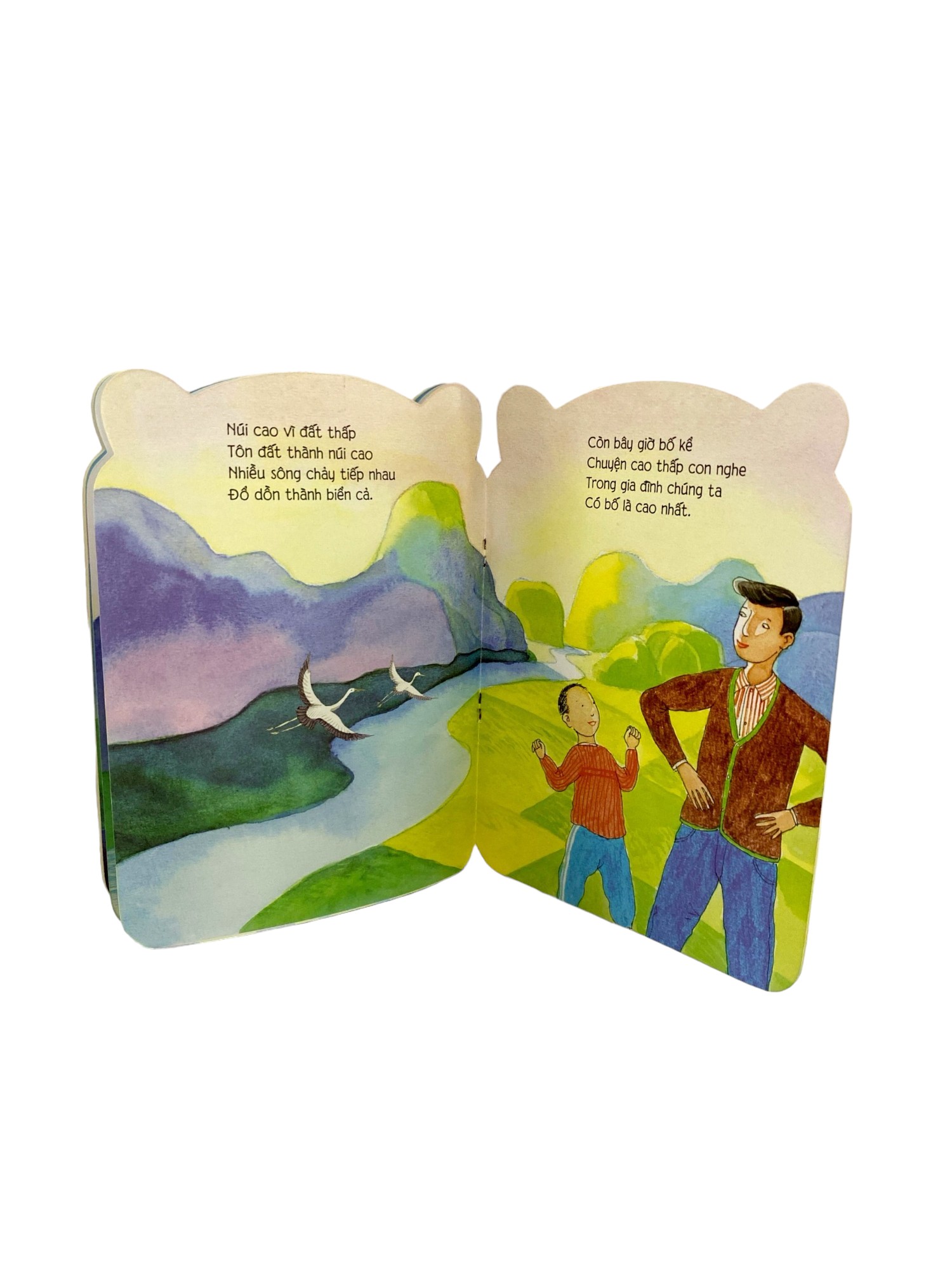 bé yêu khám phá - cao và thấp