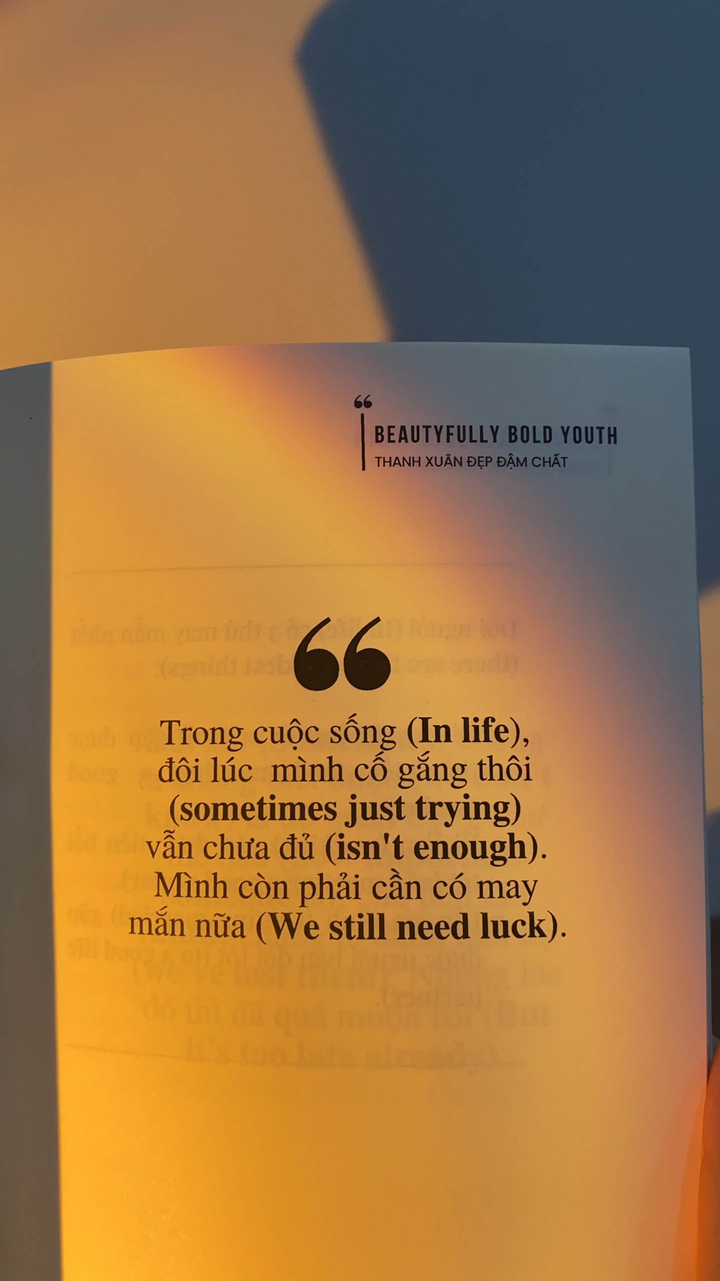 beautifully bold youth - thanh xuân đẹp đậm chất