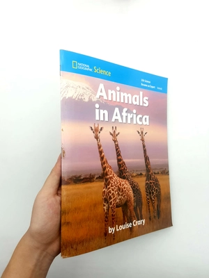 become an expert animals in africa