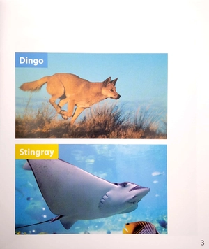 become an expert animals in australia