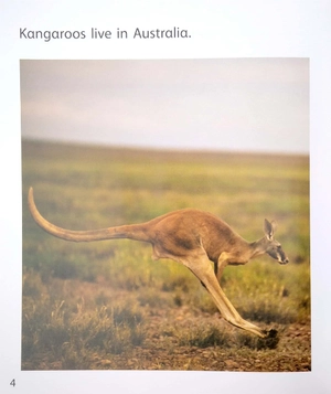 become an expert animals in australia