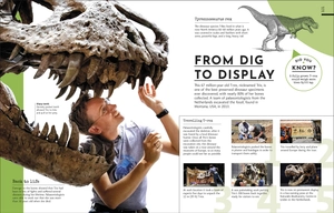 behind the scenes at the museum: your access-all-areas guide to the world's most amazing museums