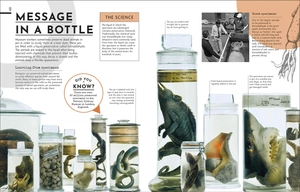 behind the scenes at the museum: your access-all-areas guide to the world's most amazing museums