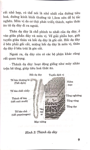 bệnh dạ dày - chế độ ăn uống và luyện tập