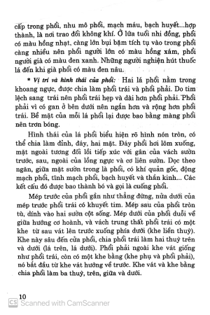 bệnh hô hấp - cây thuốc vị thuốc phòng và chữa bệnh