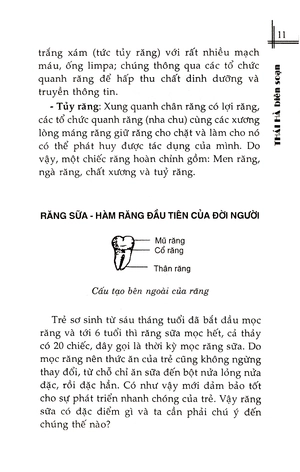 bệnh răng miệng và thực đơn phòng chữa trị