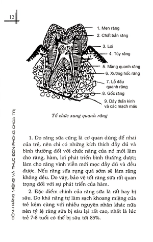 bệnh răng miệng và thực đơn phòng chữa trị