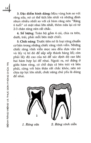 bệnh răng miệng và thực đơn phòng chữa trị