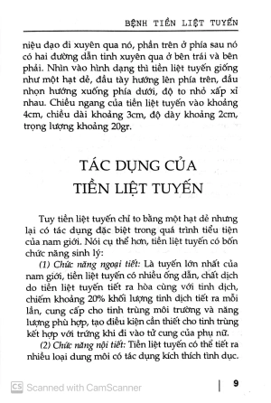 bệnh tiền liệt tuyến giải pháp dự phòng và điều trị bệnh