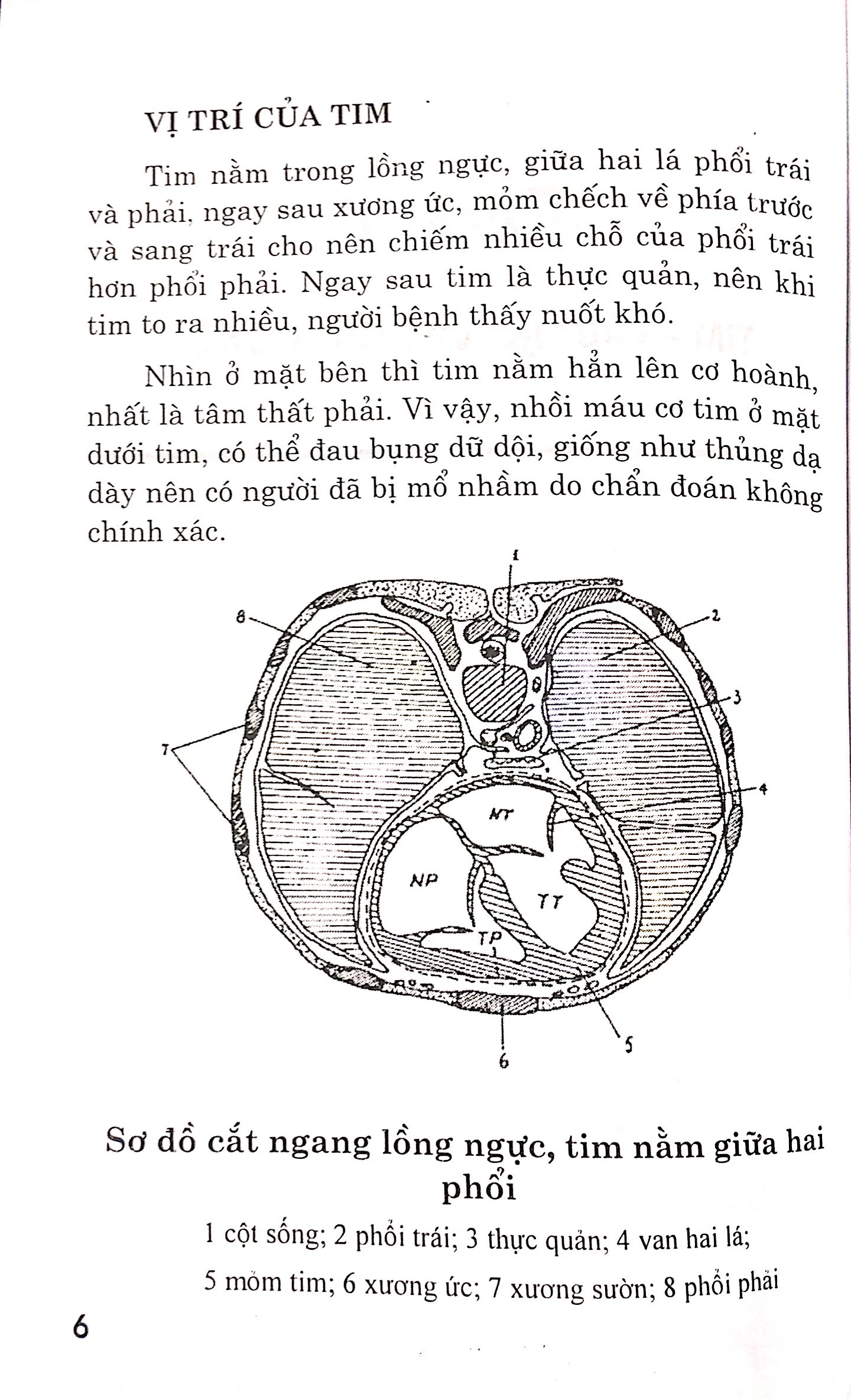 bệnh tim - chế độ dinh dưỡng và tập luyện