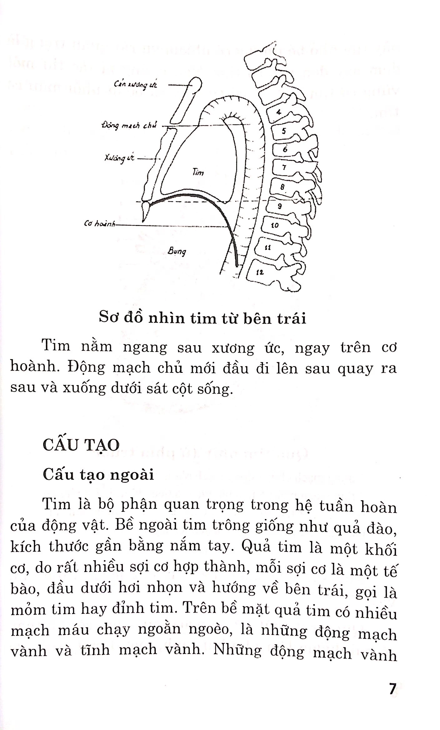bệnh tim - chế độ dinh dưỡng và tập luyện