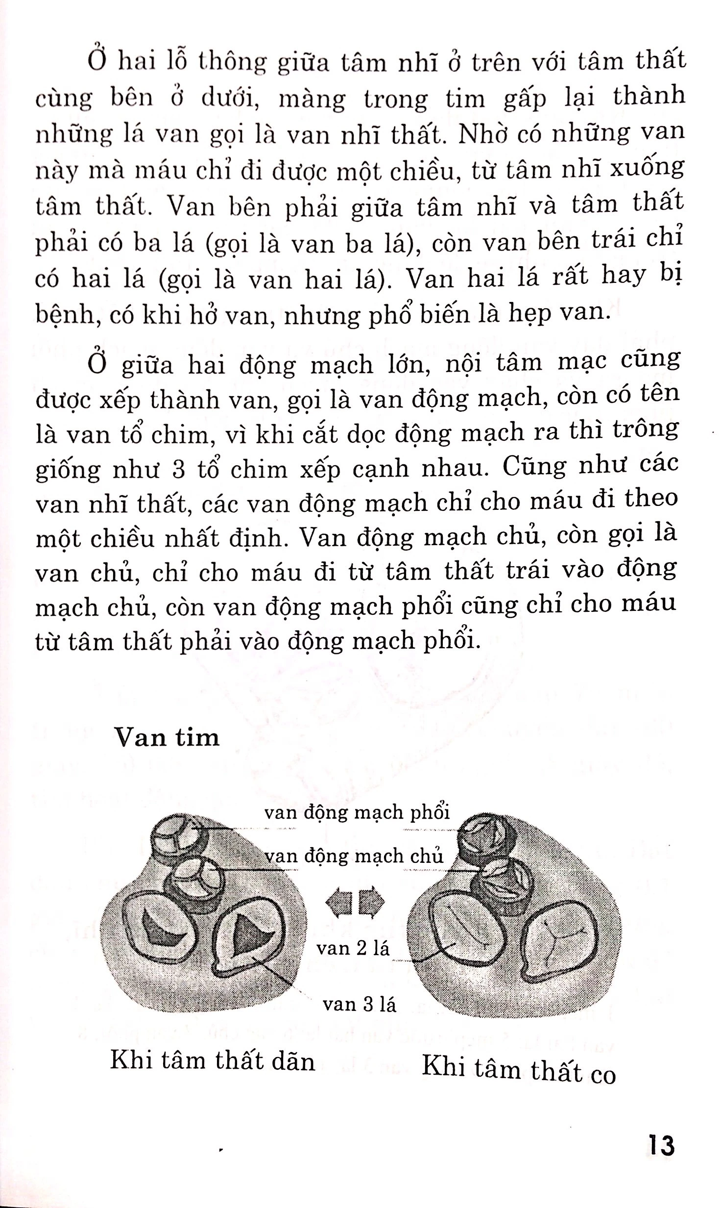 bệnh tim - chế độ dinh dưỡng và tập luyện