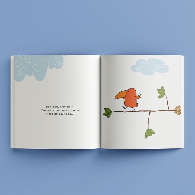 bert oách xà lách