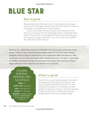 best perennials for sun and shade (home grown gardening)