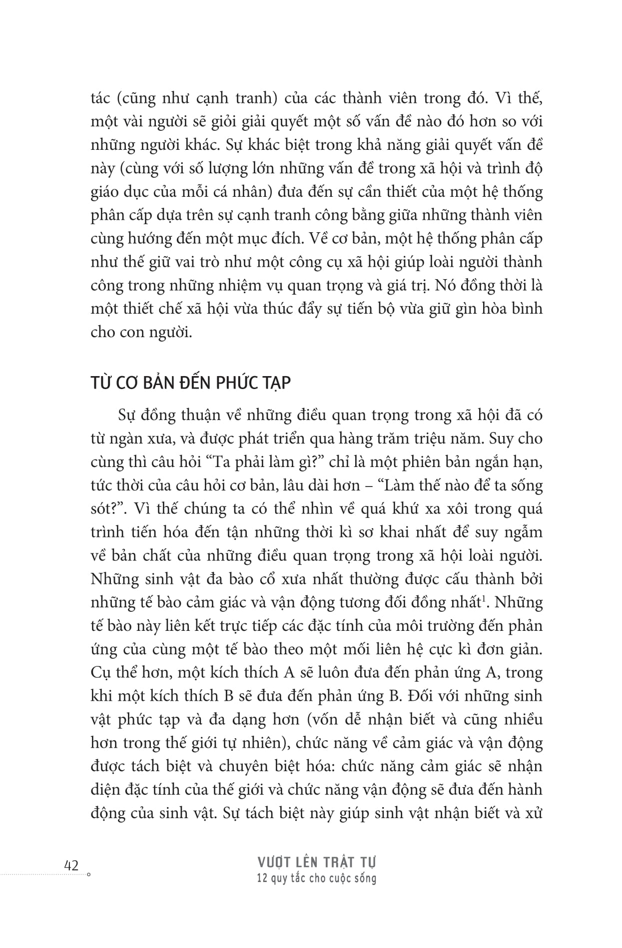 beyond order - vượt lên trật tự