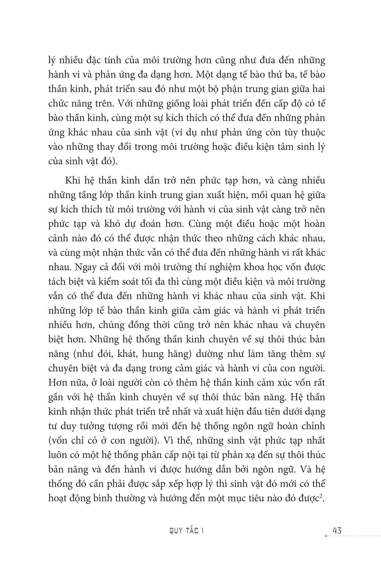 beyond order - vượt lên trật tự