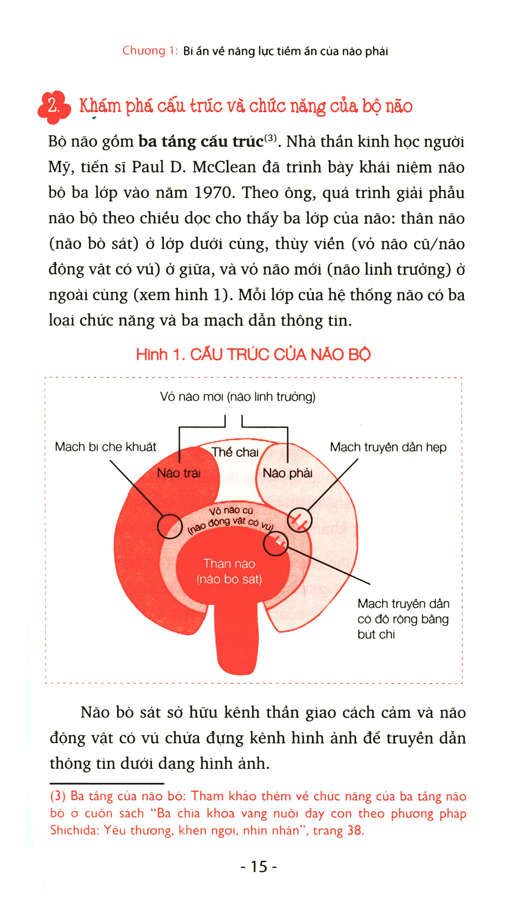 bí ẩn của não phải (tái bản 2022)