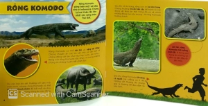 bí ẩn thế giới loài vật - bò sát & lưỡng cư (tái bản 2019)