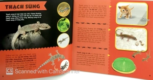 bí ẩn thế giới loài vật - bò sát & lưỡng cư (tái bản 2019)