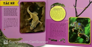 bí ẩn thế giới loài vật - bò sát & lưỡng cư (tái bản 2019)