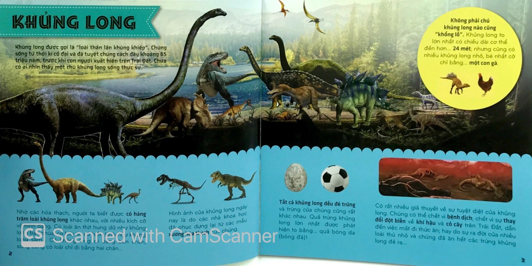 bí ẩn thế giới loài vật - bò sát và lưỡng cư (tái bản 2024)