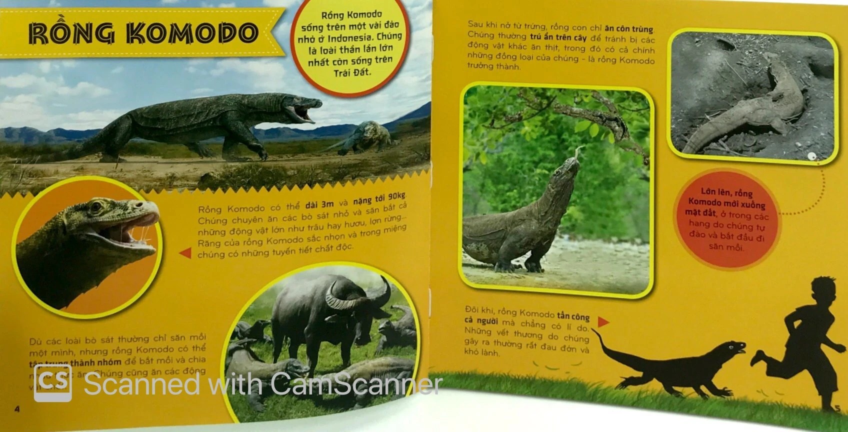 bí ẩn thế giới loài vật - bò sát và lưỡng cư (tái bản 2024)