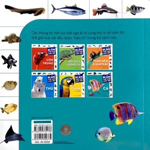 bí ẩn thế giới loài vật - cá