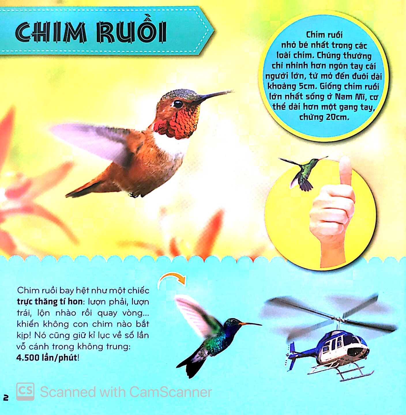 Bi An The Gioi Loai Vat - Chim (Tai Ban 2025)