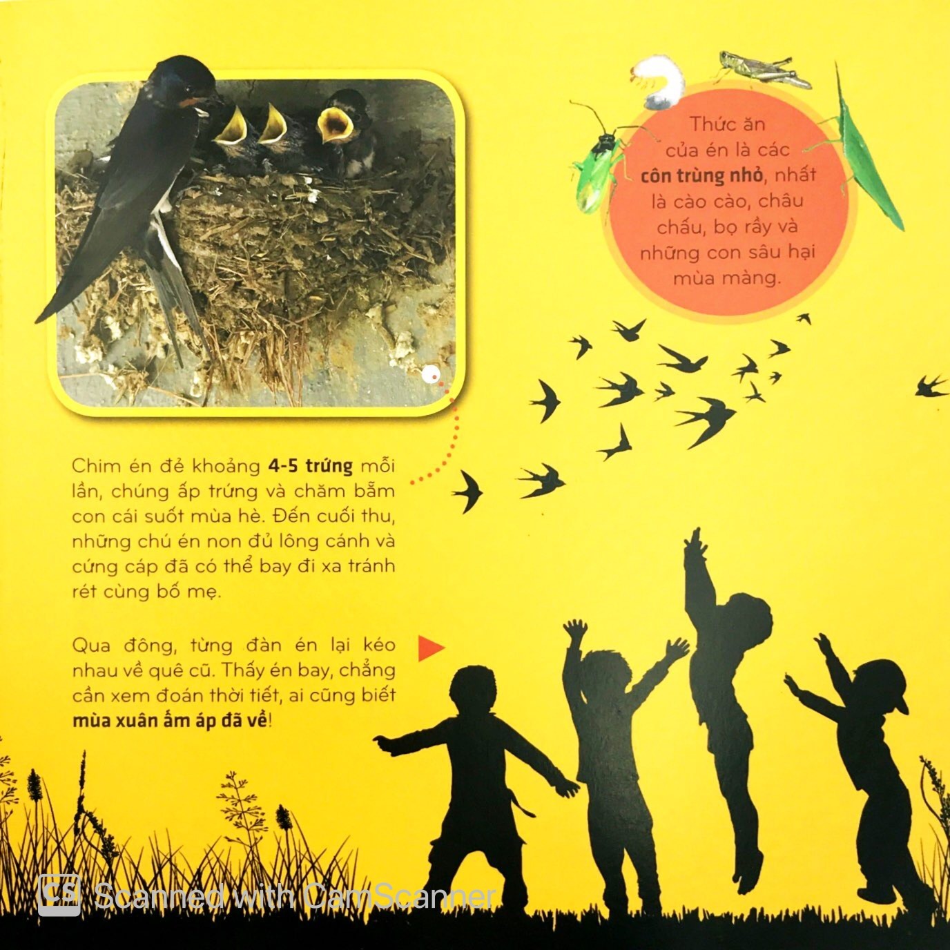 Bi An The Gioi Loai Vat - Chim (Tai Ban 2025)