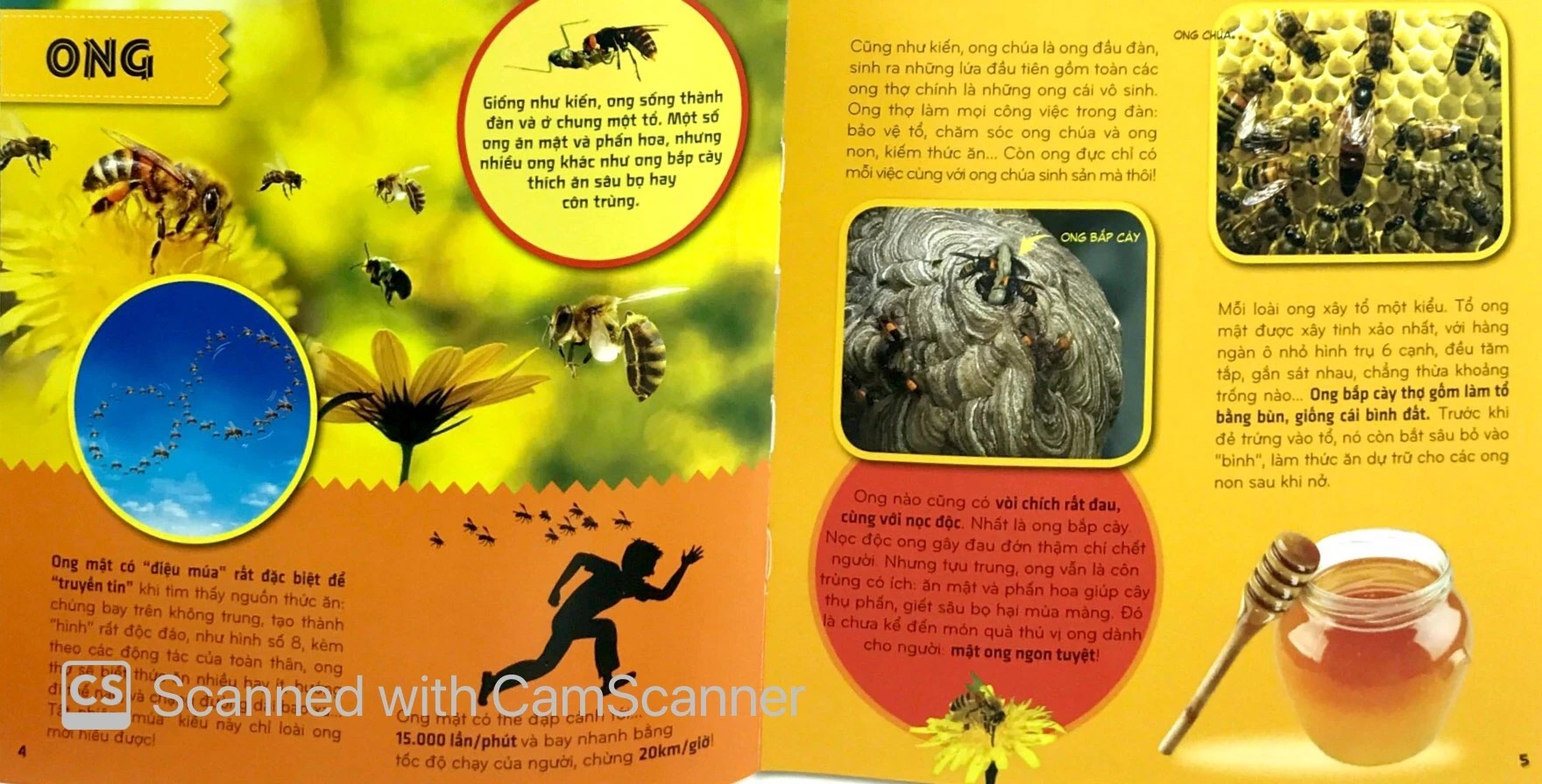 bí ẩn thế giới loài vật - côn trùng (tái bản 2024)