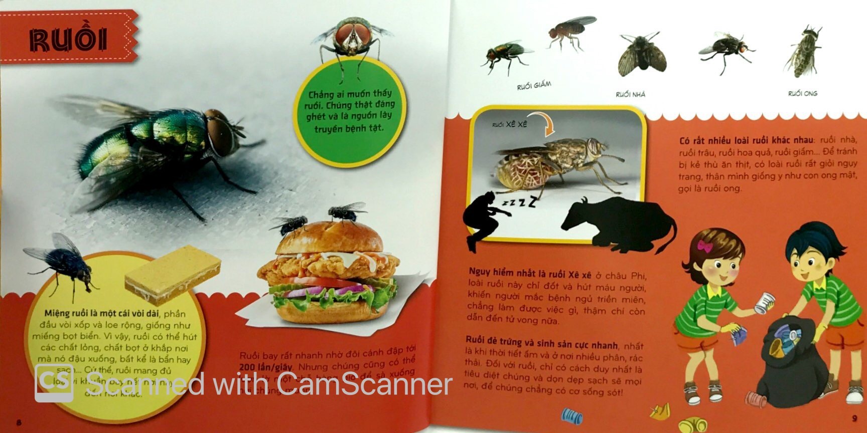 bí ẩn thế giới loài vật - côn trùng (tái bản 2024)