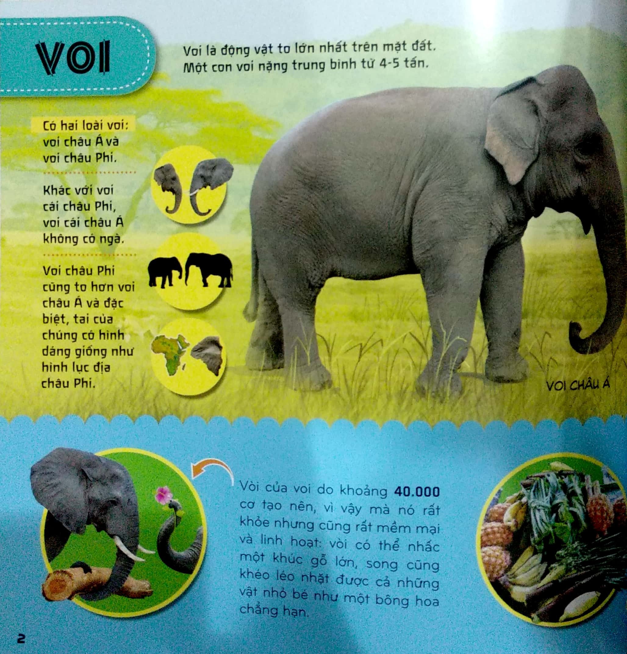 bí ẩn thế giới loài vật - thú (tái bản 2024)