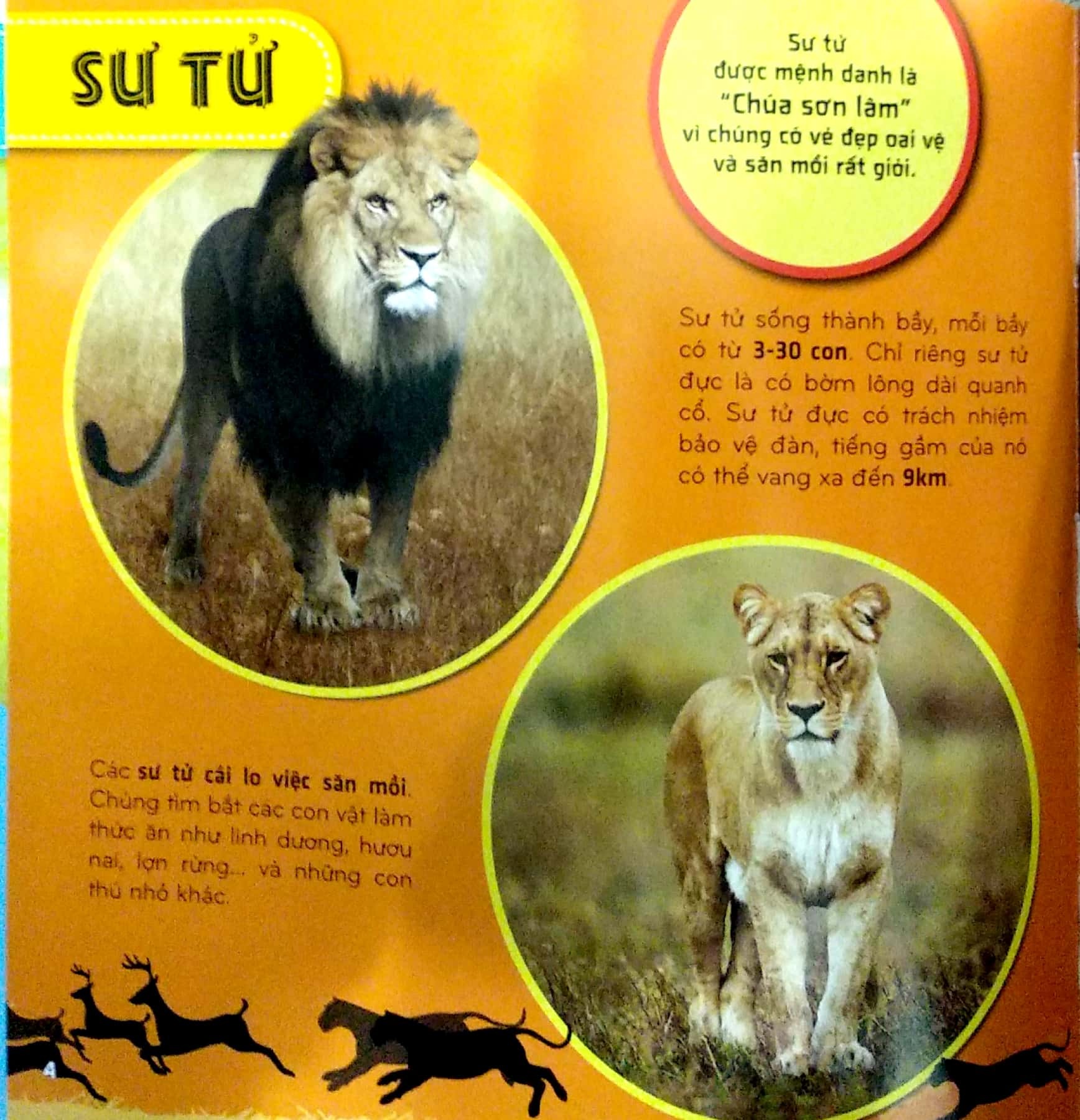 bí ẩn thế giới loài vật - thú (tái bản 2024)