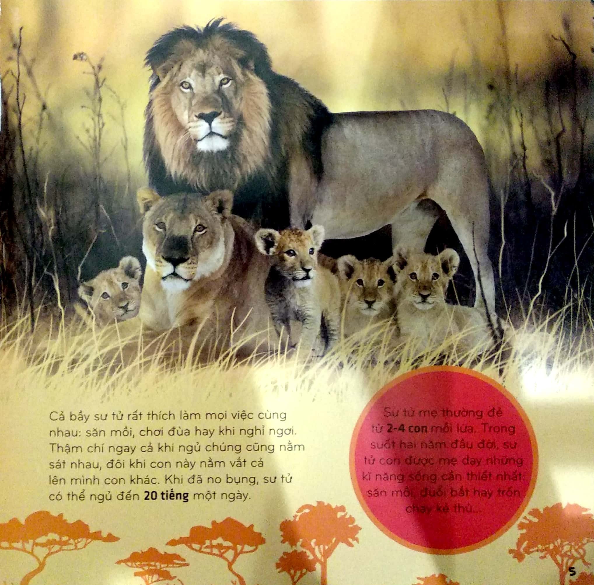 bí ẩn thế giới loài vật - thú (tái bản 2024)