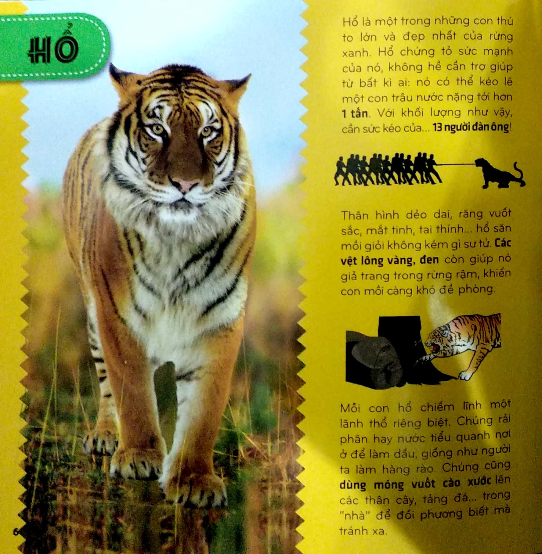 bí ẩn thế giới loài vật - thú (tái bản 2024)