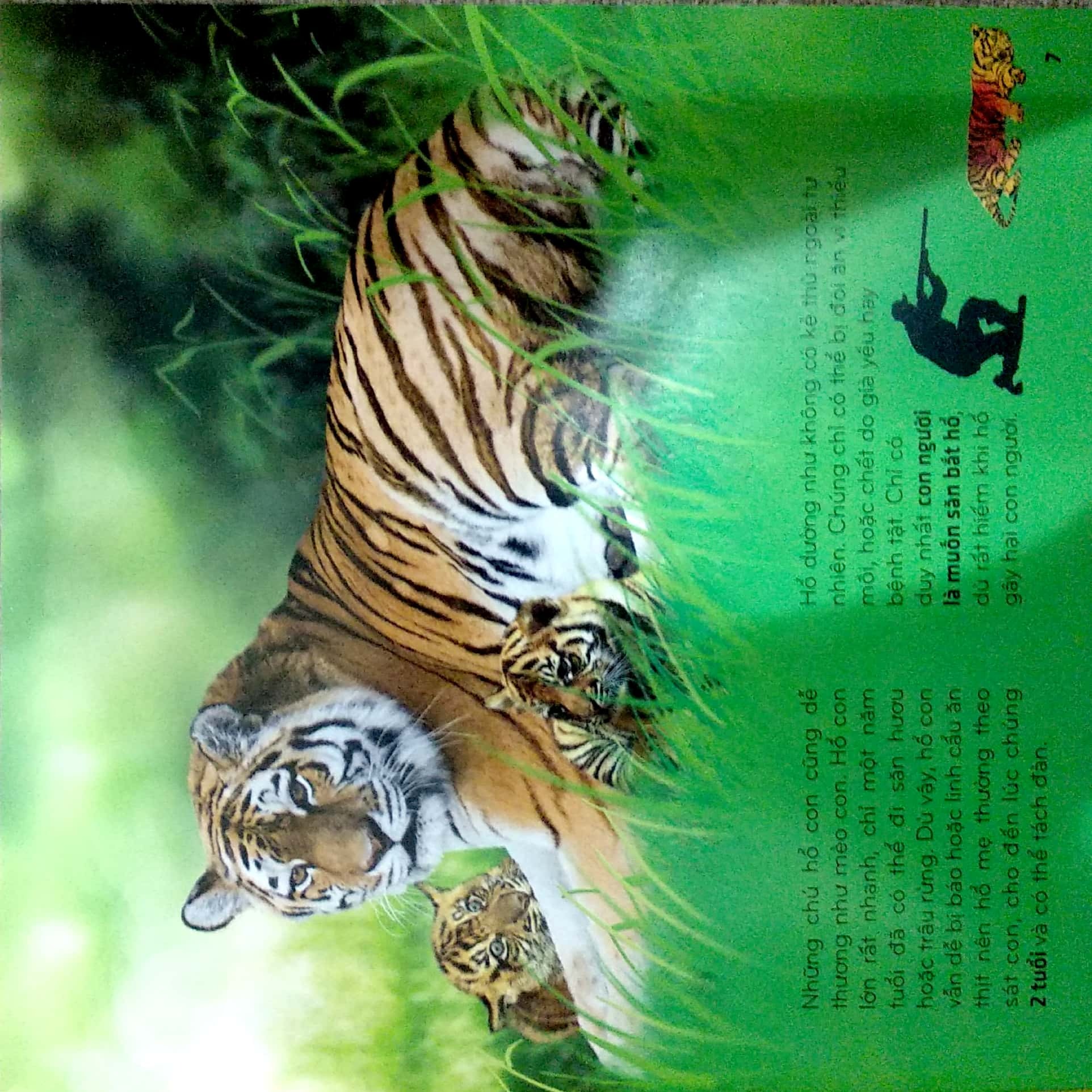 bí ẩn thế giới loài vật - thú (tái bản 2024)