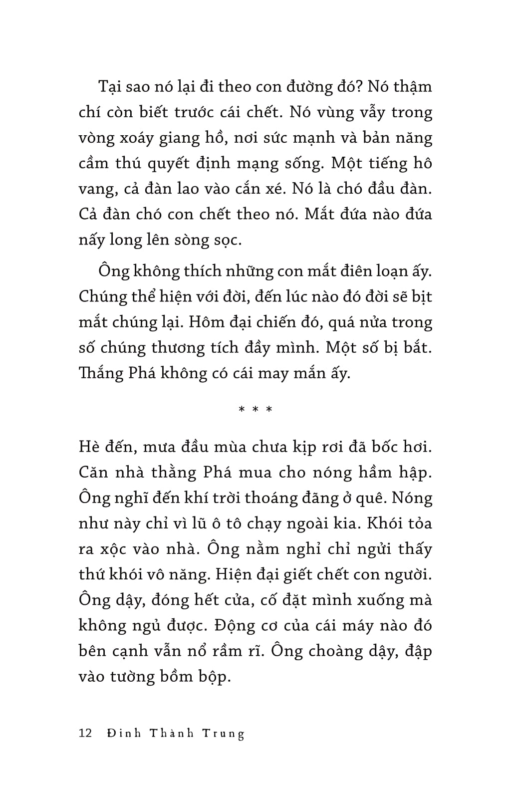 bí mật của bóng tối - văn học tuổi 20