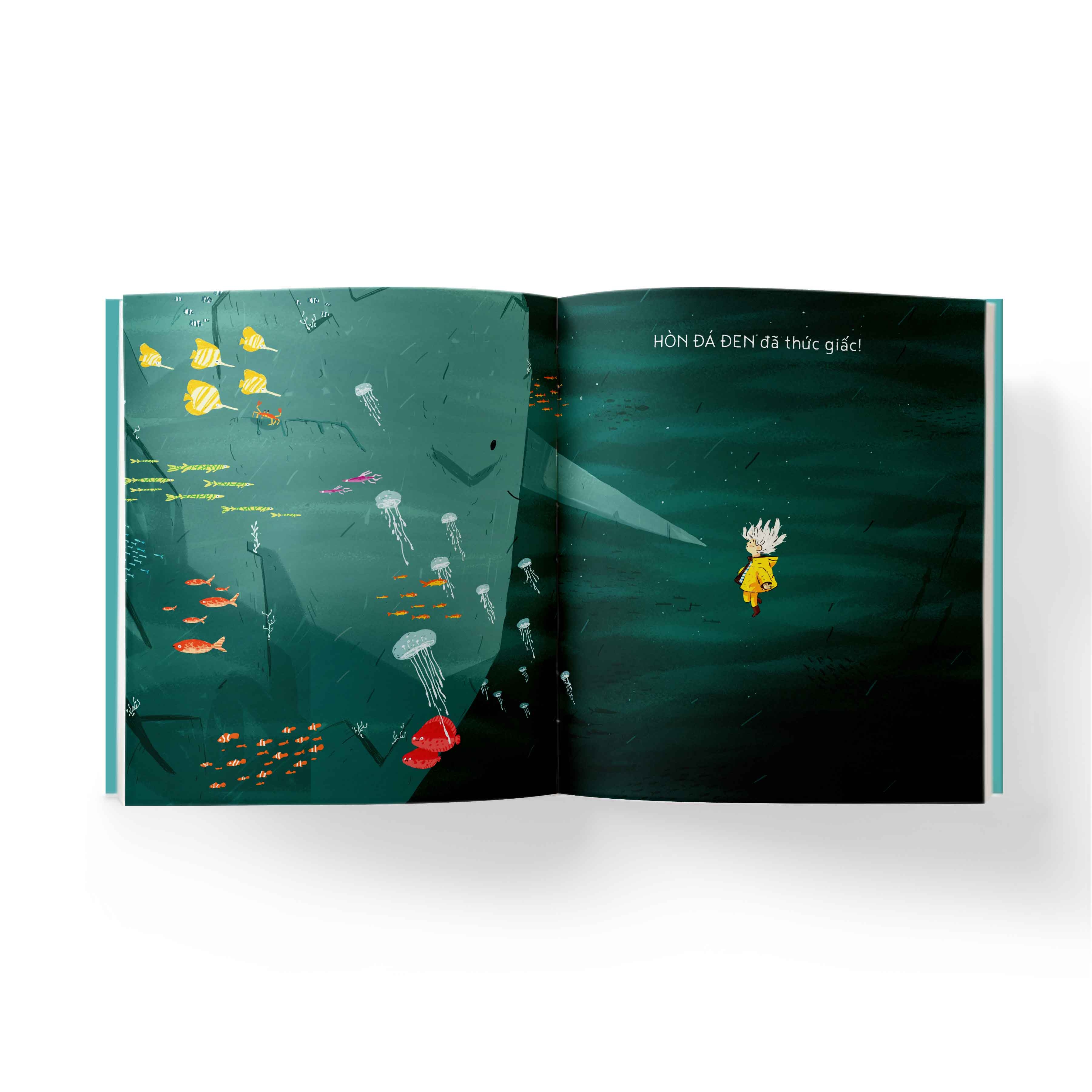 bí mật của hòn đá đen