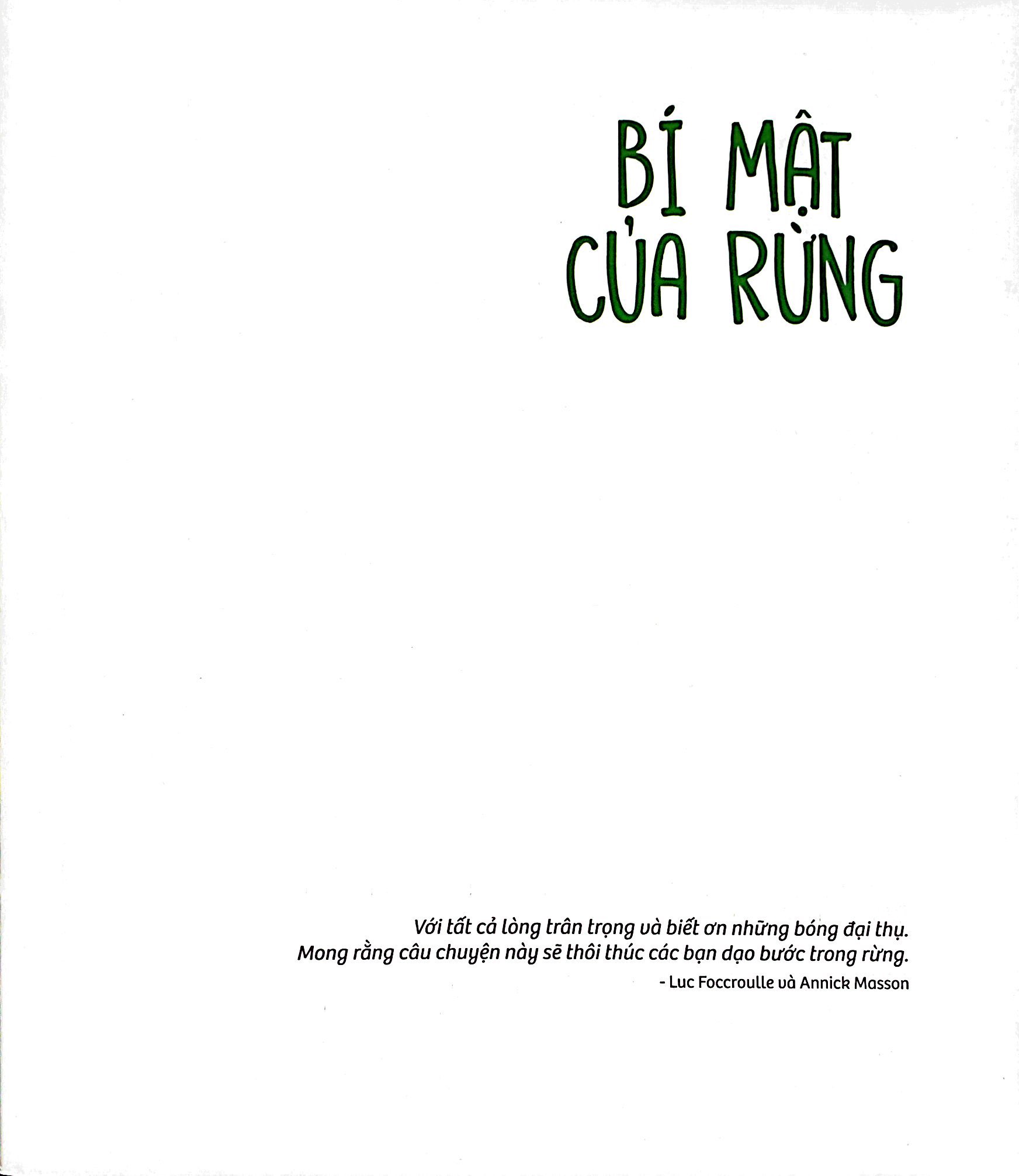 bí mật của rừng - the forest secret