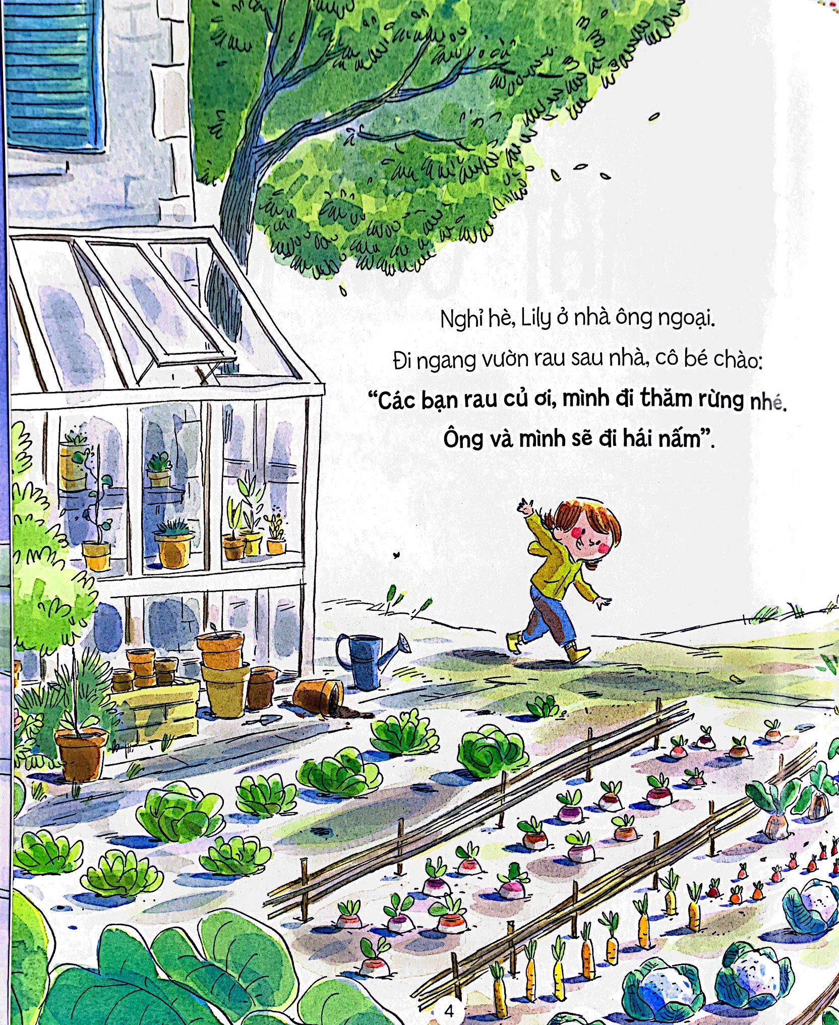 bí mật của rừng - the forest secret