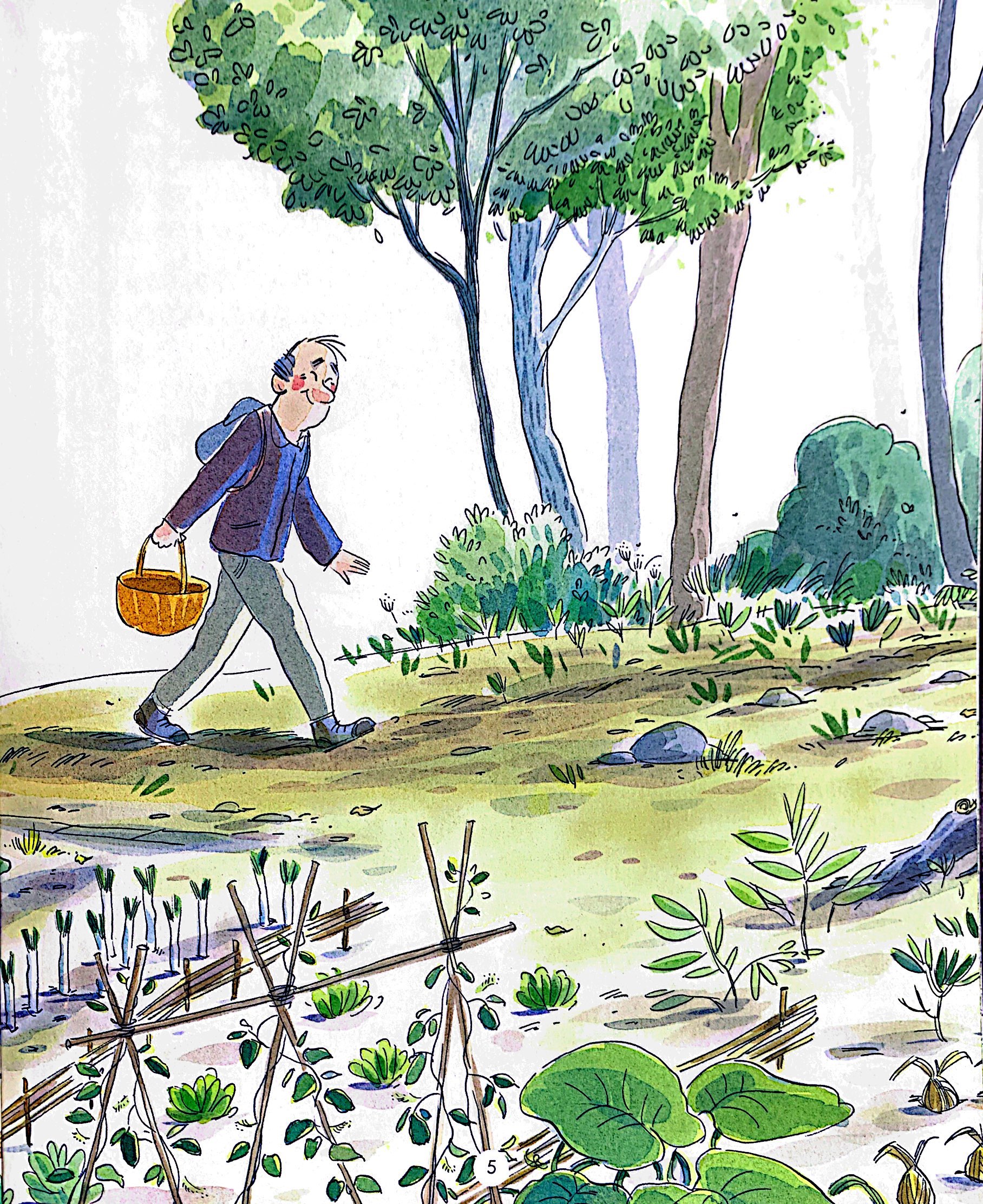 bí mật của rừng - the forest secret