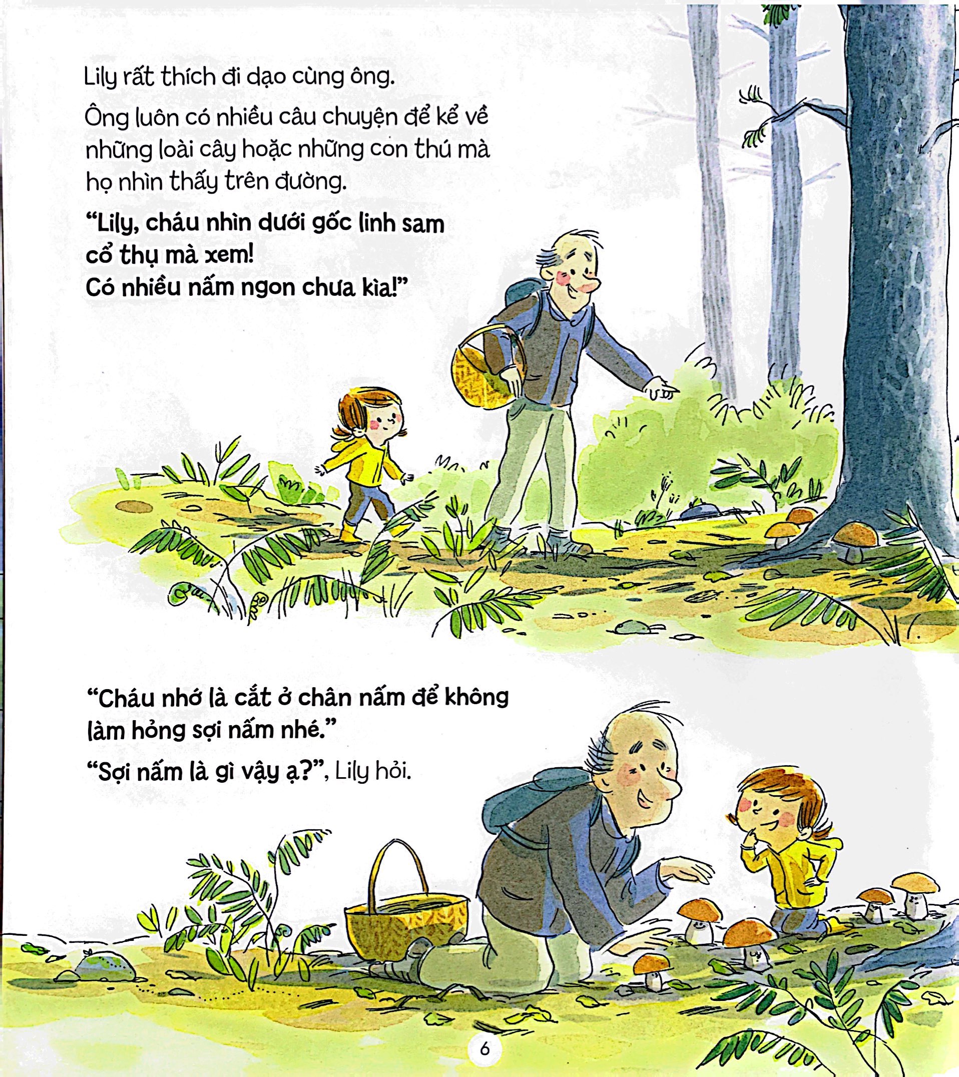 bí mật của rừng - the forest secret